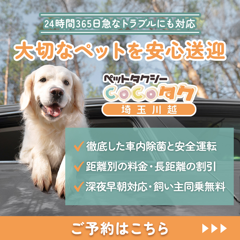 modal_banner